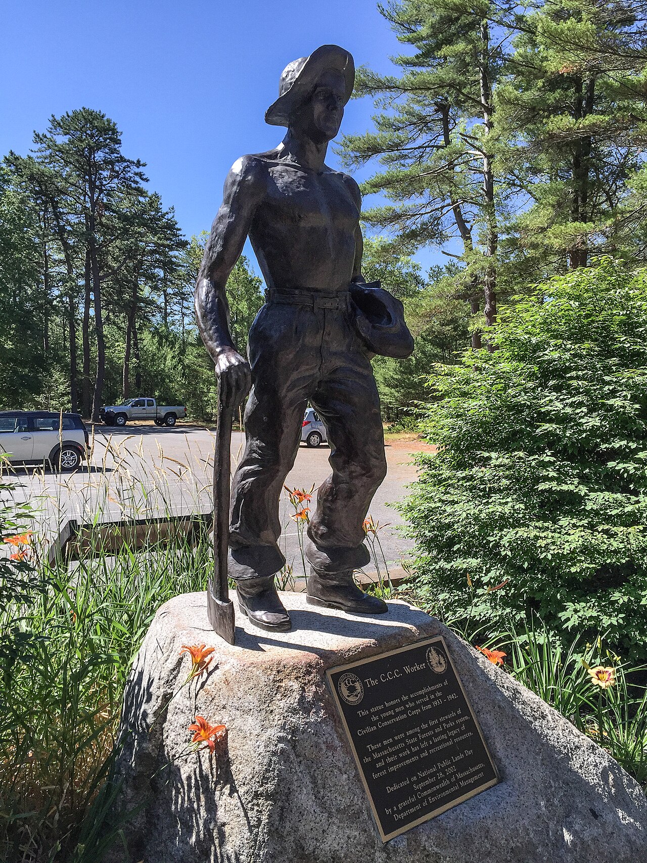 Freetown-Fall River State Forest