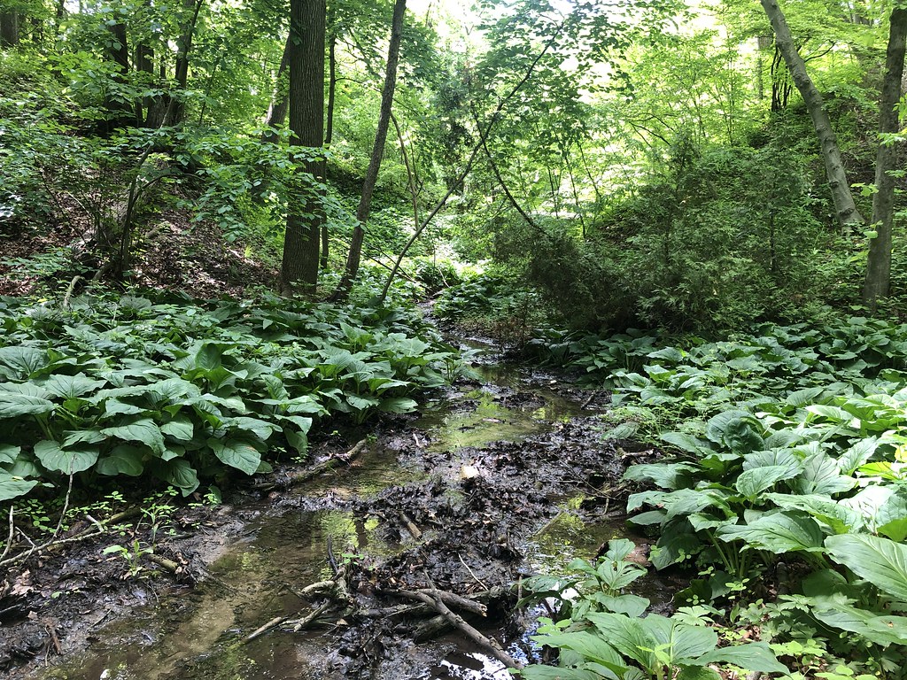 Grant Park Seven Bridges Trail