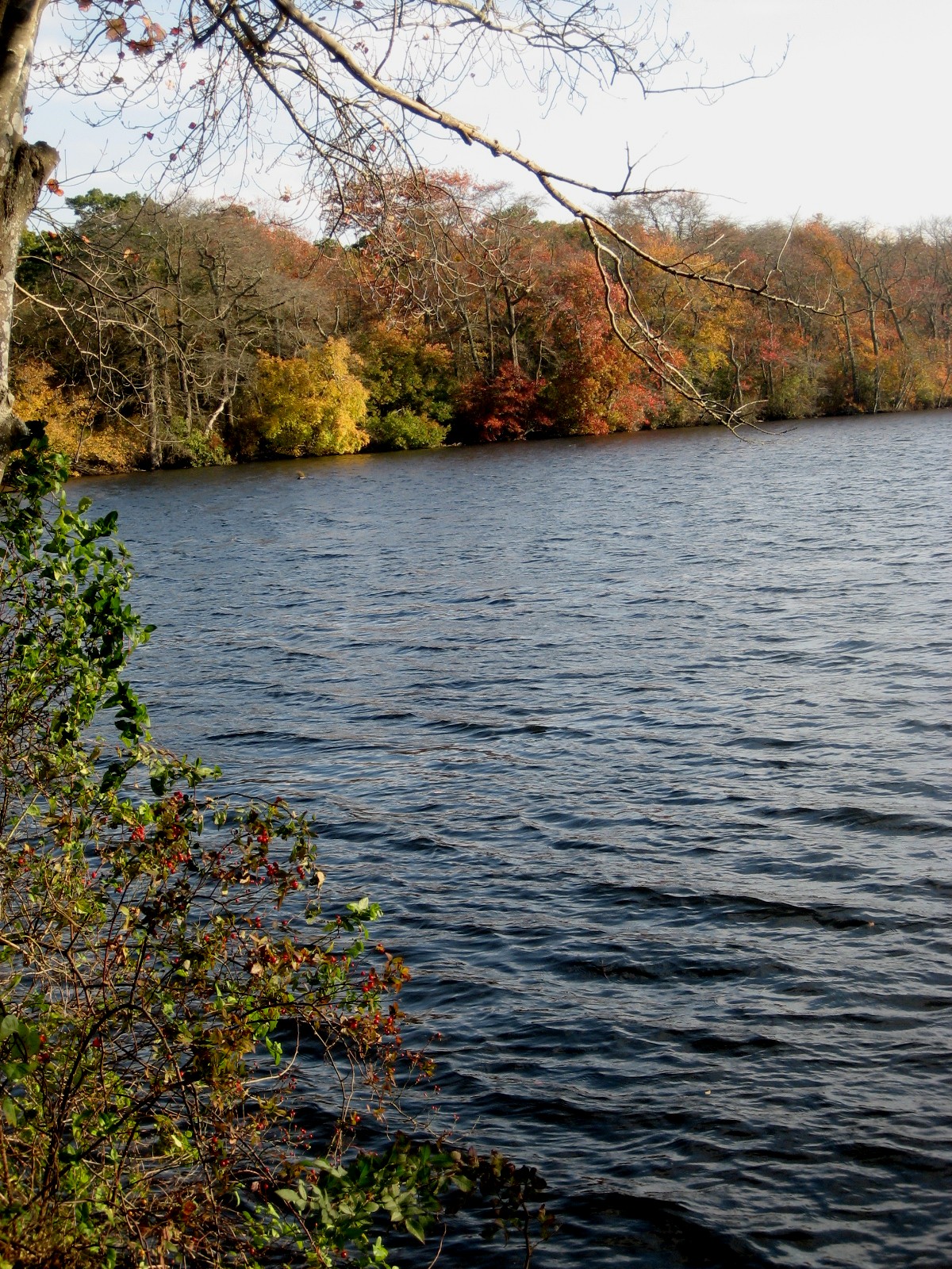 Lake Ronkonkoma