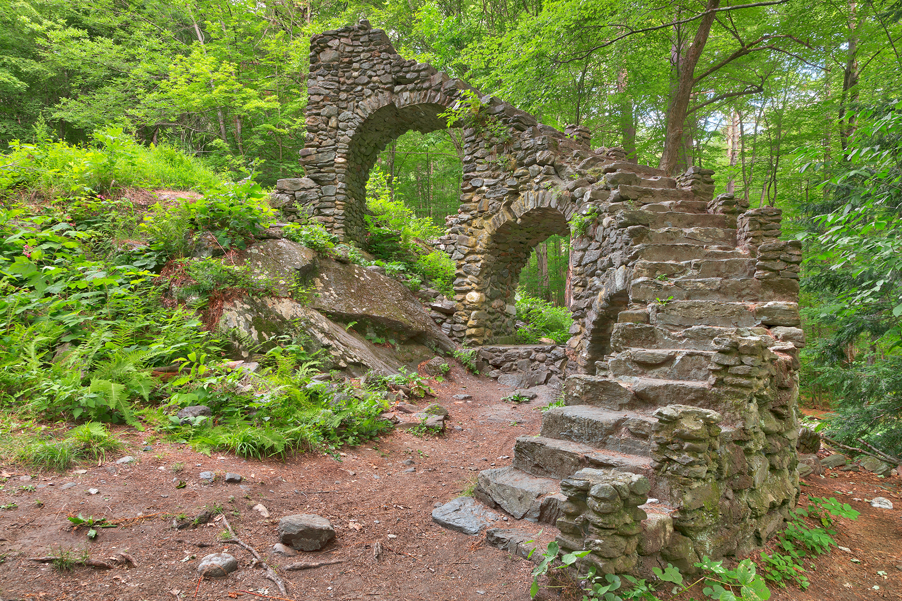 Madame Sherri Forest Ruins