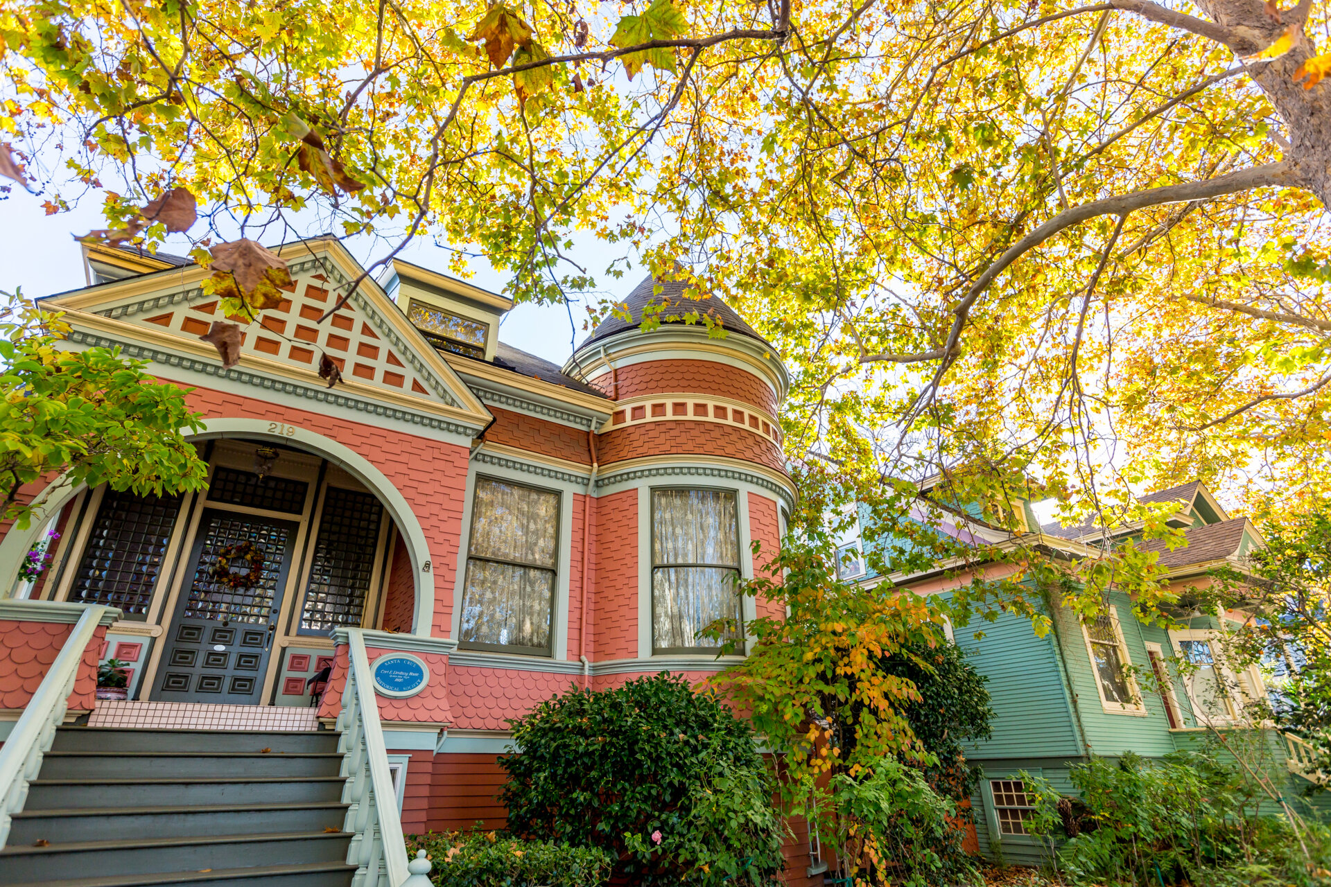 Ocean Street (The White Lady)