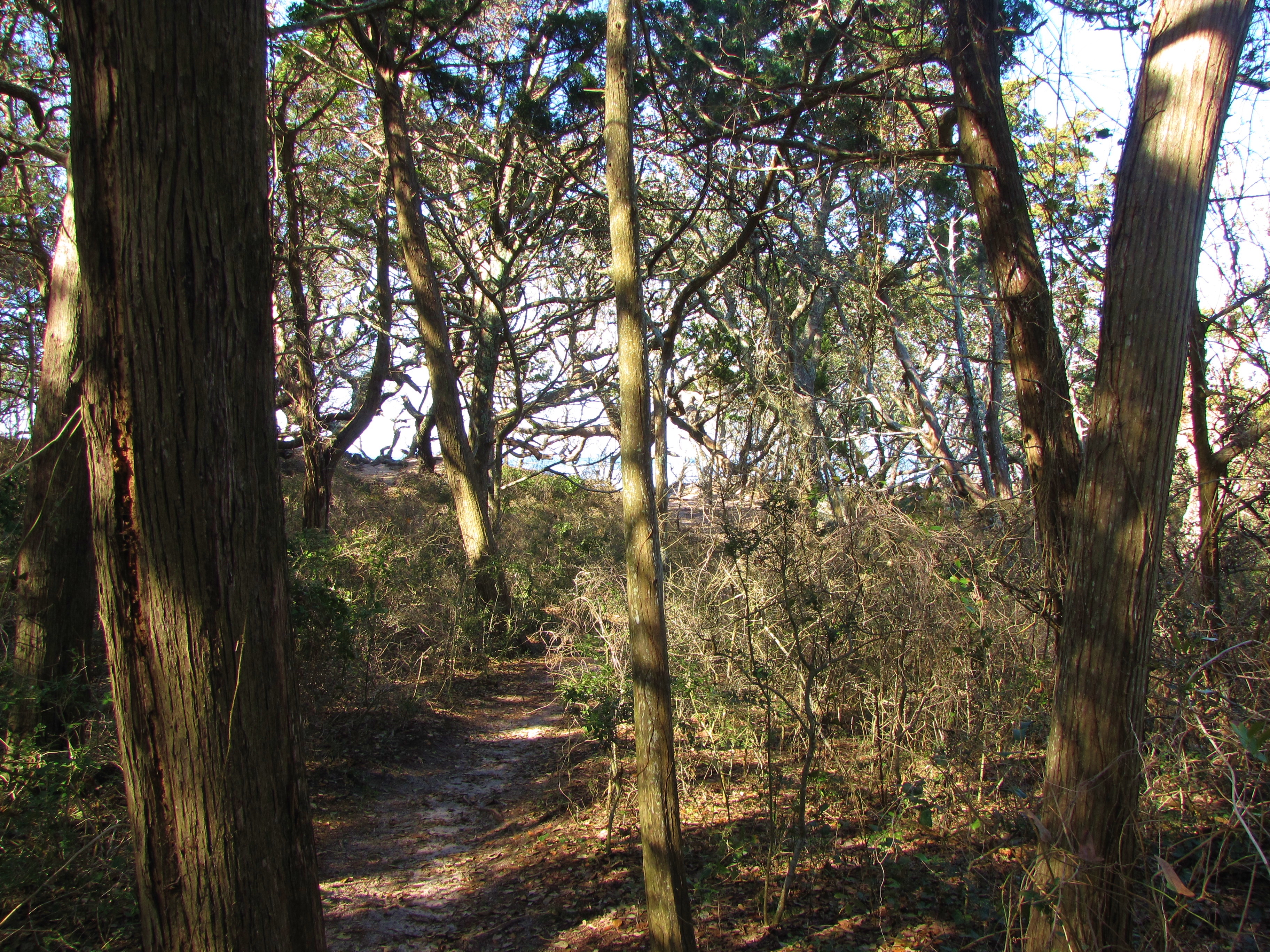 Springer's Point Nature Preserve