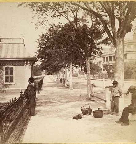 White Point Gardens (The Battery)